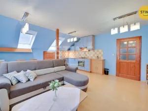 Prodej výrobních prostor, Hanušovice - Potůčník, 736 m2