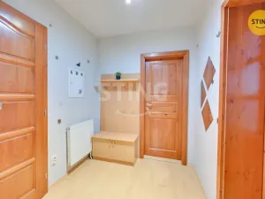 Prodej bytu 3+kk, Hanušovice - Potůčník, 736 m2