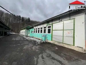 Pronájem výrobních prostor, Frýdek-Místek - Skalice, 260 m2