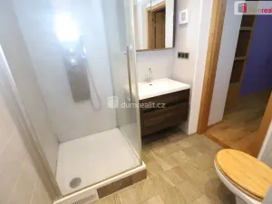 Prodej bytu 3+1, Cheb, Hradební, 52 m2