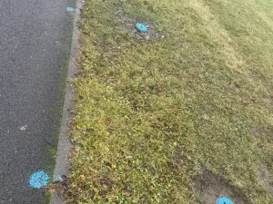 Prodej zahrady, Náklo - Lhota nad Moravou, 341 m2