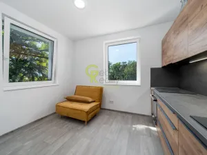 Prodej bytu 2+kk, Skorkov - Otradovice, 49 m2