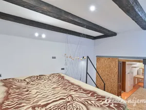 Pronájem bytu 1+1, Brno, Sirotkova, 38 m2