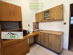 Pronájem kanceláře, Plzeň, Na Roudné, 45 m2