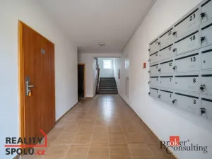 Pronájem bytu 1+1, Světnov, 36 m2