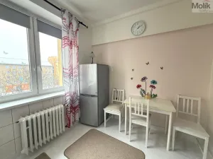 Pronájem bytu 1+1, Most, W. A. Mozarta, 39 m2