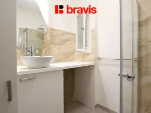 Pronájem bytu 1+1, Brno - Staré Brno, Křídlovická, 43 m2