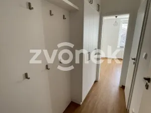 Pronájem bytu 3+1, Zlín, Benešovo nábřeží, 68 m2