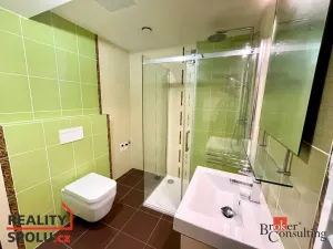 Pronájem bytu 2+kk, Plzeň - Černice, Štefánikova, 55 m2