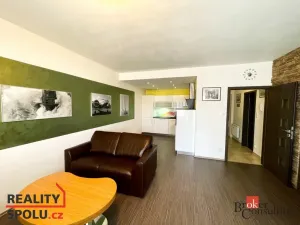 Pronájem bytu 2+kk, Plzeň - Černice, Štefánikova, 55 m2