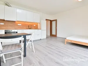Pronájem bytu 1+kk, Brno - Sadová, Moskalykova, 41 m2