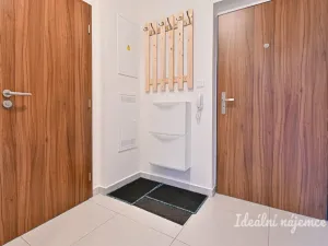 Pronájem bytu 1+kk, Brno - Sadová, Moskalykova, 41 m2