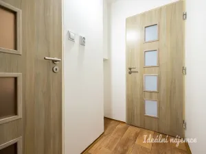 Pronájem bytu 2+1, Praha - Karlín, Nekvasilova, 41 m2