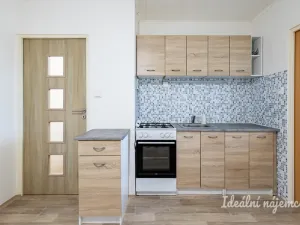 Pronájem bytu 2+1, Praha - Karlín, Nekvasilova, 41 m2