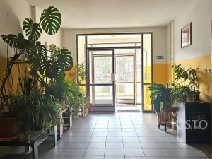 Prodej bytu 2+kk, Písek, Zátavské nábř., 46 m2