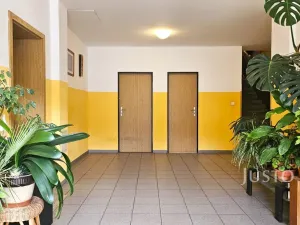 Prodej bytu 2+kk, Písek, Zátavské nábř., 46 m2