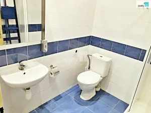 Prodej kanceláře, Plzeň - Východní Předměstí, Rubešova, 65 m2