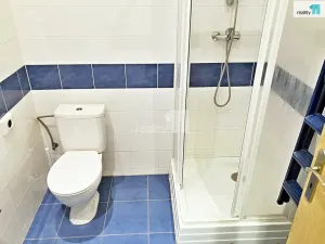 Prodej kanceláře, Plzeň - Východní Předměstí, Rubešova, 65 m2