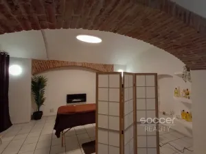 Pronájem bytu 2+kk, Praha - Holešovice, Jirečkova, 60 m2