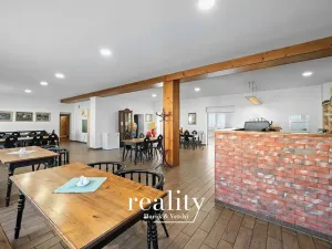 Prodej vícegeneračního domu, Dobšice, Lahoferova, 797 m2