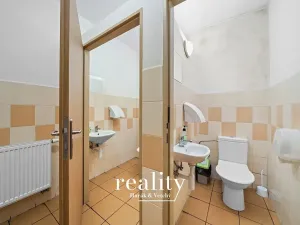 Prodej vícegeneračního domu, Dobšice, Lahoferova, 797 m2