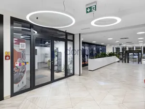 Pronájem obchodního prostoru, Praha, Pobřežní, 179 m2