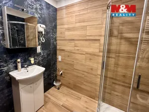 Pronájem bytu 1+kk, Příseka, 30 m2