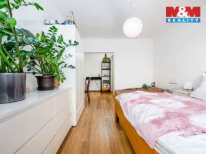 Prodej bytu 2+1, Pardubice - Zelené Předměstí, Palackého třída, 71 m2