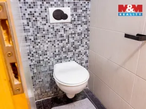 Prodej bytu 4+kk, Opava - Předměstí, Olomoucká, 155 m2