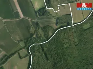 Prodej pole, Horní Věstonice, 4000 m2