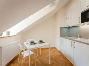 Pronájem bytu 1+kk, Praha - Staré Město, Kozí, 31 m2