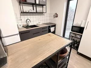 Pronájem bytu 2+kk, Brno - Štýřice, Sovinec, 53 m2