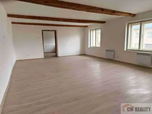 Prodej rodinného domu, Náměšť na Hané, Biskupství, 172 m2