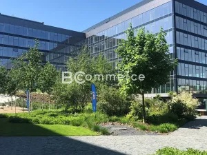 Pronájem kanceláře, Brno, 1363 m2