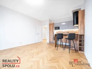 Pronájem bytu 2+kk, Brno - Staré Brno, Nové sady, 59 m2