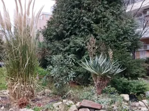 Prodej bytu 1+kk, Nesebar, Bulharsko, 32 m2