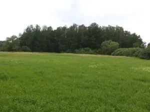 Dražba louky, Česká Lípa, 5581 m2