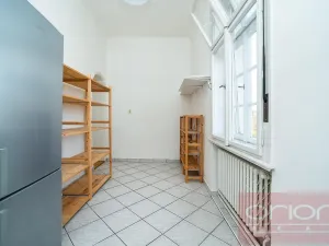 Pronájem bytu 6+kk a větší, Praha - Střešovice, Slunná, 300 m2