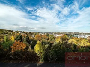 Pronájem bytu 6+kk a větší, Praha - Střešovice, Slunná, 300 m2