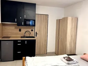 Pronájem bytu 1+kk, Mariánské Lázně - Úšovice, Palackého, 20 m2