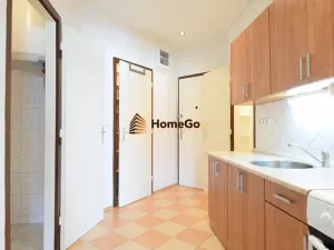 Pronájem bytu 1+kk, Praha - Nusle, Lounských, 45 m2