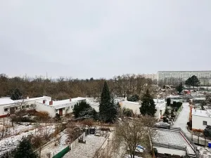 Prodej rodinného domu, Brno, Kupkova, 176 m2