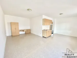 Pronájem bytu 1+kk, Olomouc, Dolní hejčínská, 39 m2