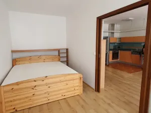 Pronájem bytu 2+kk, Praha - Holešovice, Poupětova, 51 m2