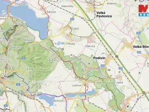 Prodej pole, Přítluky - Nové Mlýny, 5724 m2