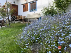 Prodej rodinného domu, Jilem, 91 m2