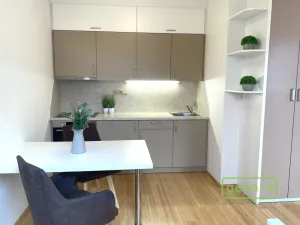 Pronájem bytu 1+kk, Dobřichovice, Anežky České, 30 m2