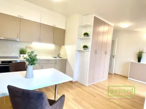 Pronájem bytu 1+kk, Dobřichovice, Anežky České, 30 m2