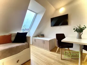 Pronájem bytu 1+kk, Dobřichovice, Anežky České, 30 m2