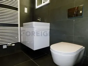 Pronájem bytu 1+kk, Plzeň, Pallova, 29 m2